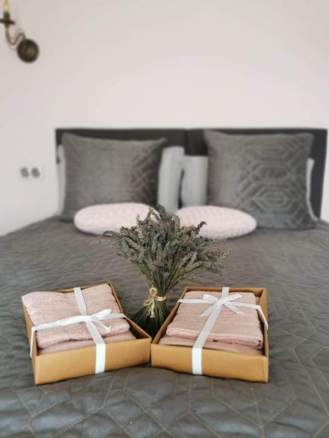 Appartements Vallee Verte Razac-sur-lʼIsle المظهر الخارجي الصورة